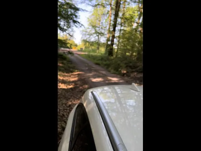 Blowjob im Pfälzer Wald