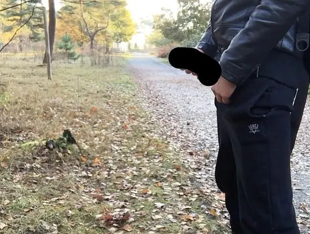 when some boys are alone in the forest they take a piss or jerking off