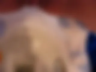Zusammenschnitt aller NS-Videos