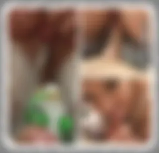 **PERVERSER PISS-QUICKIE**