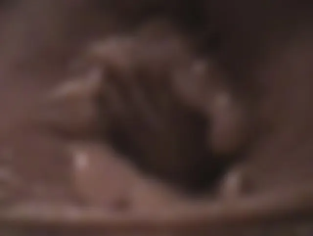 Mit dem Dildo besorgt