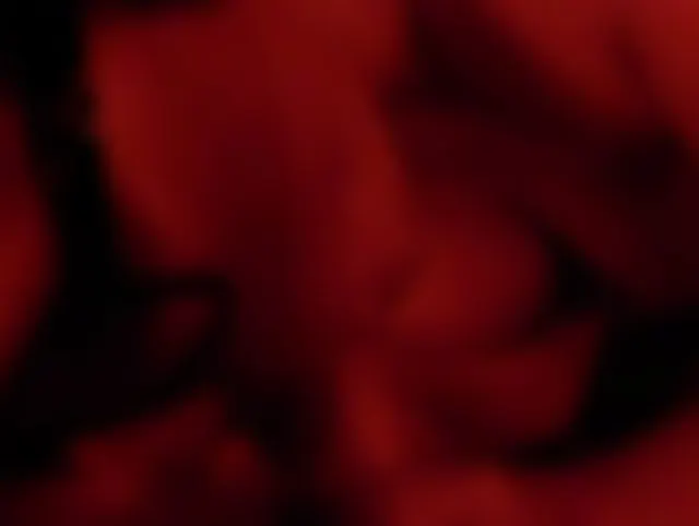 GEILER BLOWJOB MIT ABSPRITZEN IM PORNOKINO AM 21.10.2013
