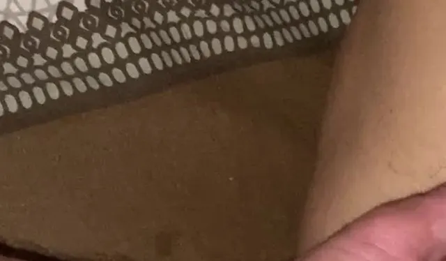 Horizontal view hairy pussy fucking