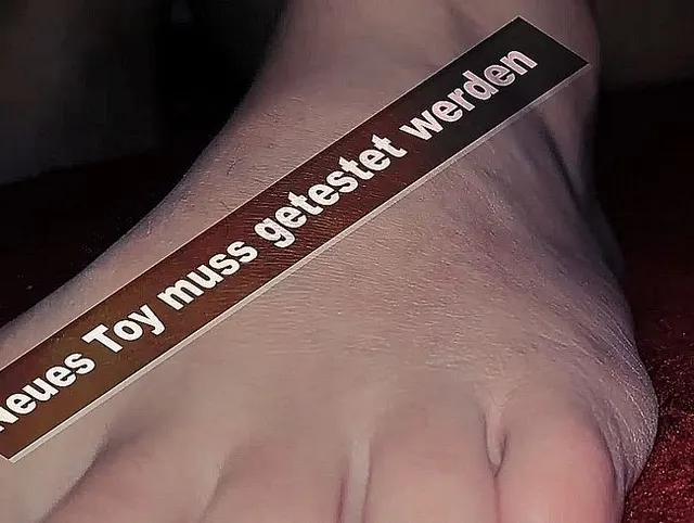 Heißersehntes Neues Toy