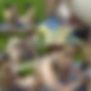 JAAAAA!!! erste GANGBANG-SAHNE für mich