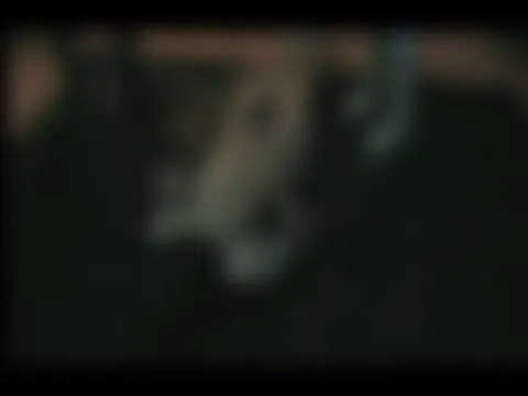Vorbereitung zu nem schönen Trampling-Teil2