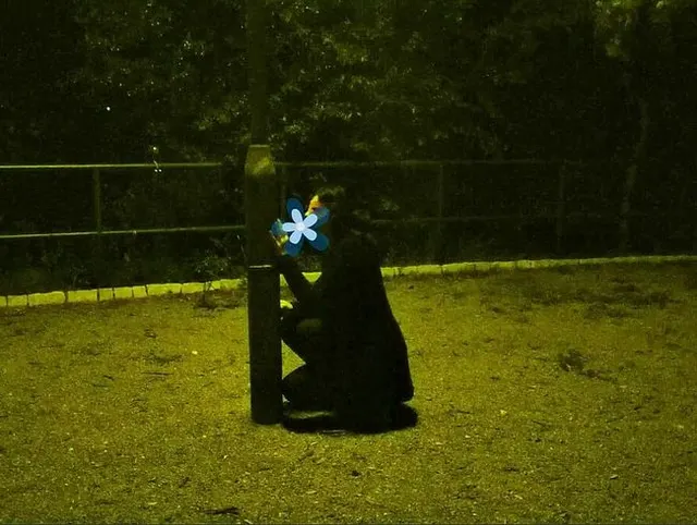 Im Park einen großen schwarzen Dildo lutschen