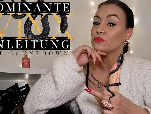 DOMINANTE WIXXANLEITUNG