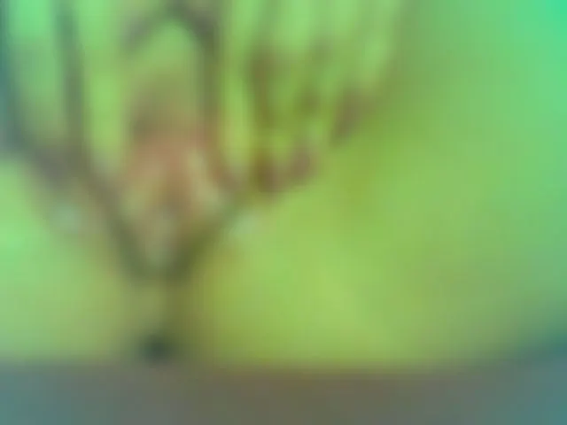 ich fingere meine tropfende pussy