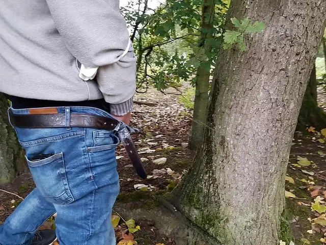 Baum angepisst