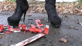 Stella177