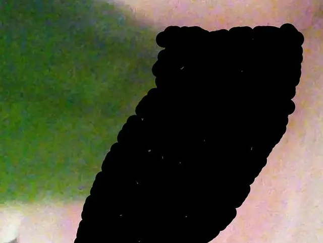 gurke