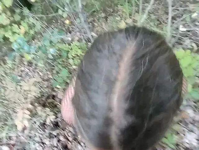 Oralsex und Pussy Fick Outdoor