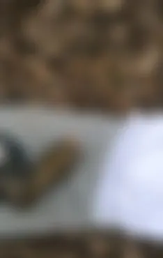 Sklaven auf die Eier treten