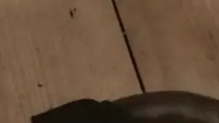 Ich zeige dir meine Füße mit Abdrücken...