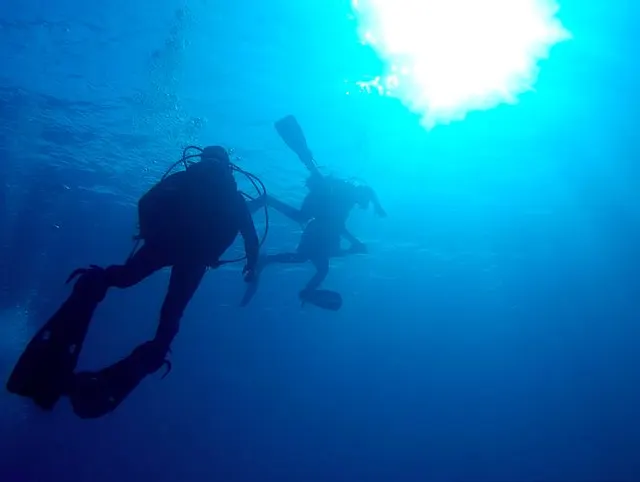 #Dive N°: 853 (5)