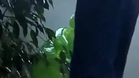 mit Turnschuhe zerstört er den Ball