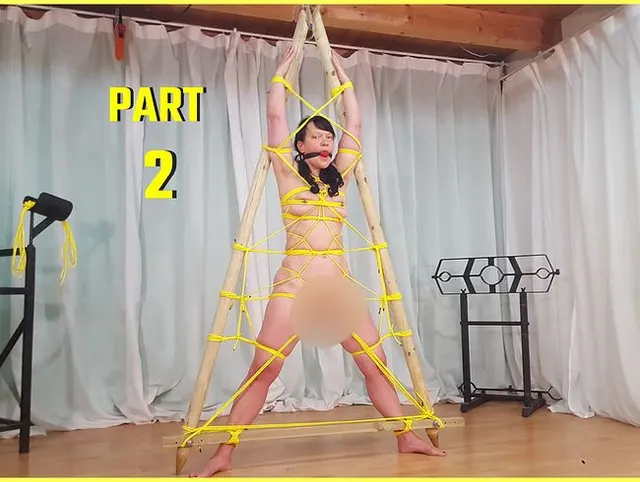 Eingefangen - Part 2