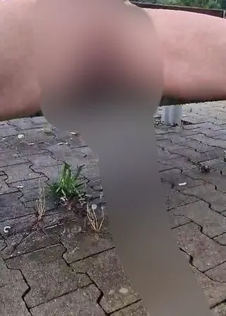 Pissen auf dem Rastplatz