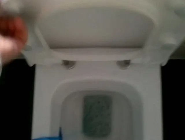 ins klo pissen