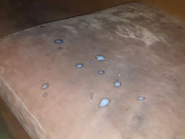 Möchtest mein Schwanzsaft schlucken ?