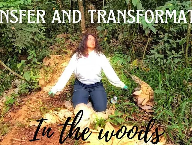 Transfer und Transformation im Wald