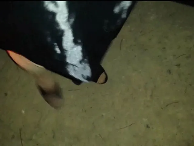 Cindy Devot 03: Im Feld mit Pleaser Heels