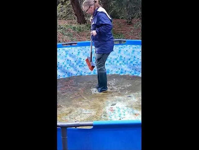 EIN LETZTES MAL 2019