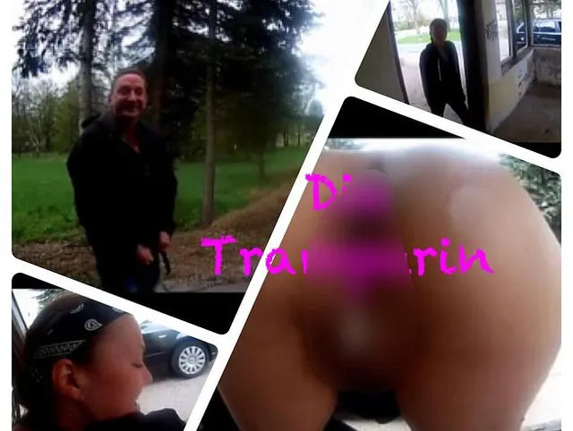 Die geile Tramperin