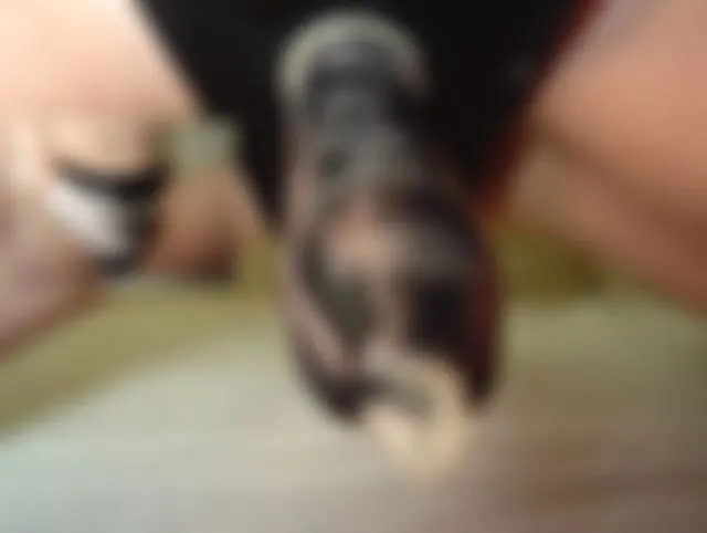 Und jetzt ficke ich DEINE Arschfotze