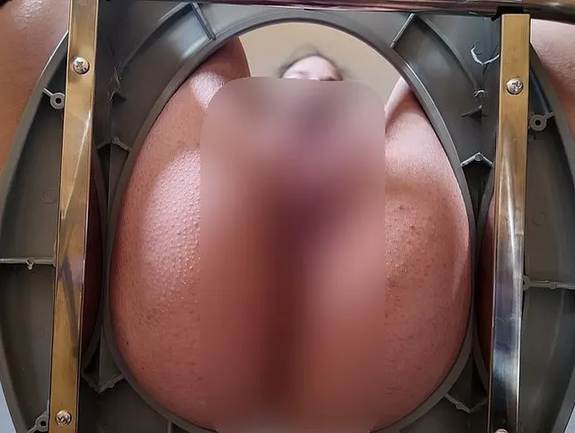 Möchtest du meine Toilette sein?