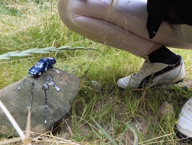 Modelautos auf der Wiese - #Crushingfans #Autocrushing