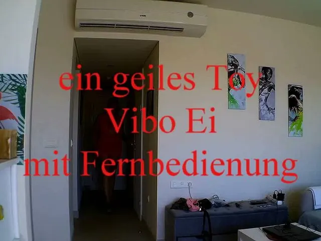 neues Toy - Vibo Ei mit Fernbedienung