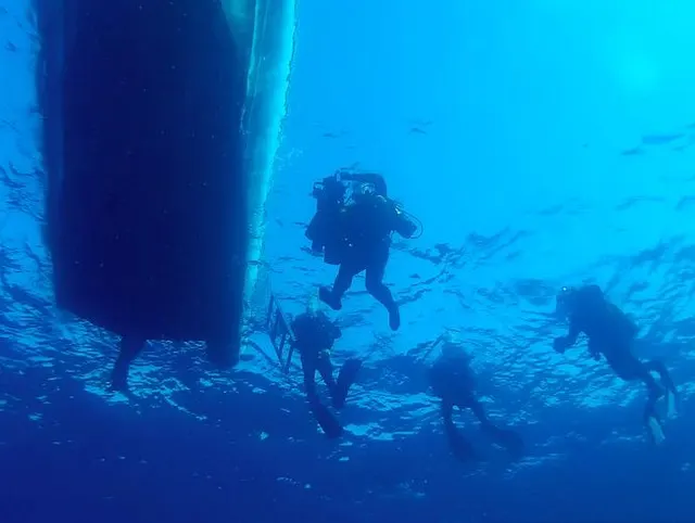 #Dive Nr .: 852 (4)
