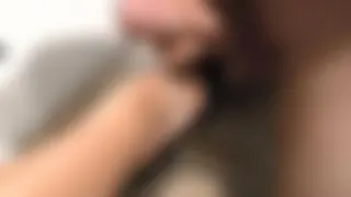Stella13