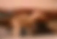 Horny couple fucking