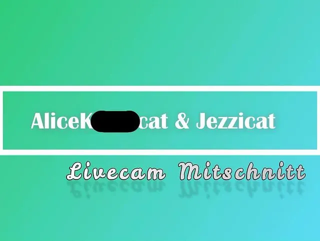 Livecam Mitschnitt_RimmCats