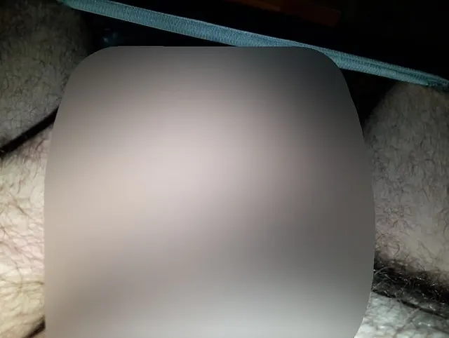 Ich wichs mir ein du Sau