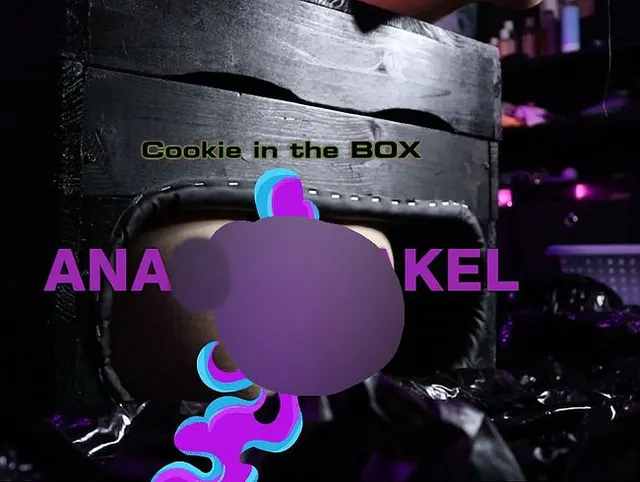 Cookie in the Box #NO1