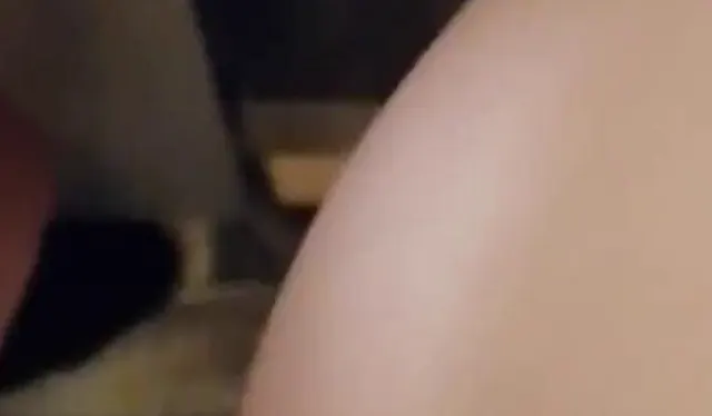 Besuch zum Kaffee...