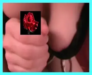 Zwischen die Titten gespritzt!