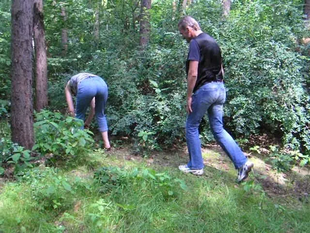 überrascht im Wald vom Spaziergänger