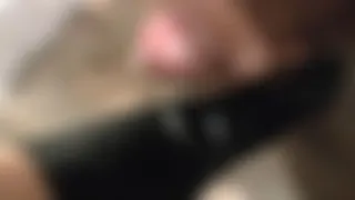 Stella39