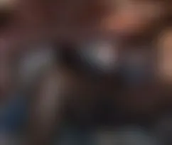 FreddyFuck,s  Südafrika-Report Teil 1
