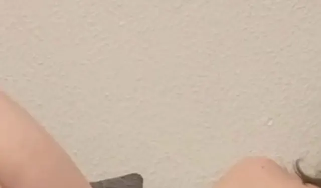 SB mit Lieblingsvibrator