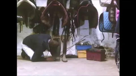 Eingestaubtet Reitstiefel