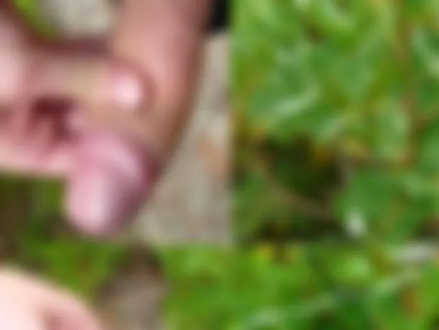 Eine frische Ladung Sperma in die freie Natur spritzen...