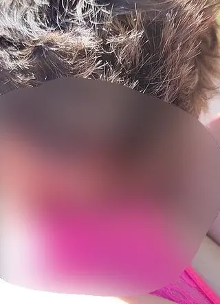 Ein fremder leckt mich
