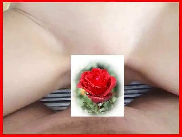 Kurz mal gefickt!
