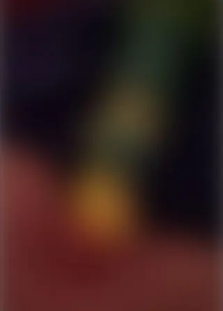 Meine kleine Fotze Ganz nah